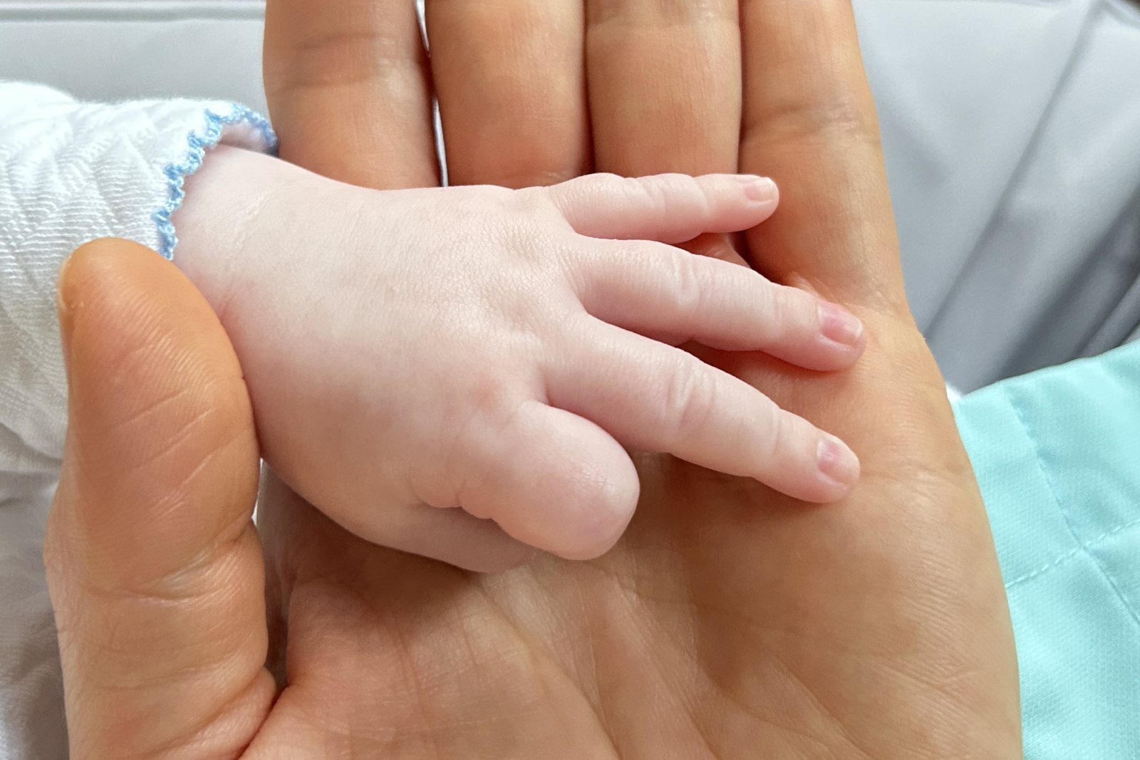 A baby's hand laid against an adult palm